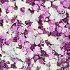 DIY Jewelry Making Findings FIND-WH0033-83M-1