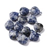 Natural Blue Spot Jasper Beads Strands G-P570-E19-02-3