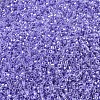 MIYUKI Delica Beads X-SEED-J020-DB0249-3