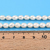 Natural Cultured Freshwater Pearl Beads Strands PEAR-N012-05X-6