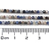 Natural Sodalite Beads Strands G-J400-A06-01-5