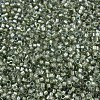 MIYUKI Delica Beads X-SEED-J020-DB2378-3