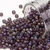 TOHO 8/0 Round Beads SEED-TR08-0166BF-1