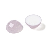 Translucent Epoxy Resin Glitter Powder Decoden Cabochons CRES-S367-13C-01-2