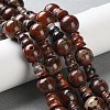Natural Brecciated Jasper 3-Hole Guru Beads Strands G-K149-56-1