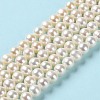 Natural Cultured Freshwater Pearl Beads Strands PEAR-E018-65-2