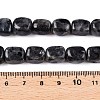 Natural Larvikite Beads Strands G-T138-106-5