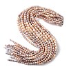 Natural Cultured Freshwater Pearl Beads Strands PEAR-C004-16-4
