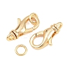 Brass Lobster Claw Clasps KK-H287-08B-G-2
