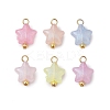 Luminous Acrylic Charms PALLOY-JF03320-01-1