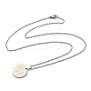 Non-Tarnish Constellation Pendant Necklaces NJEW-S422-04P-06-3