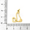 304 Stainless Steel Pendants STAS-R137-01G-L-3