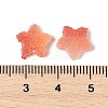 Imitation Candy Food Style Resin Cabochons RESI-R461-02A-4