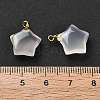 Natural Agate Star Pendants G-U025-03G-3