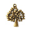 Tibetan Style Pendants LS-TIBEP-A13000-AB-FF-1