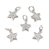 Brass Micro Pave Cubic Zirconia Charms KK-E068-VB247-2