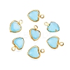 K9 Glass Charms GLAA-T023-11D-1