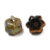 Natural & Synthetic Mixed Gemstone Pumpkin Charms with Golden Tone Brass Bails G-C158-06G-2