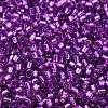 Glass Seed Beads SEED-S042-04B-20-3
