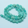 Natural Amazonite Beads Strands G-K203-19-2