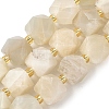 Natural Moonstone Beads Strands G-G271-A02-01-2