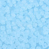 FGB Frosted Transparent Glass Seed Beads SEED-N013-03A-11-3