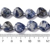 Natural Blue Spot Jasper Beads Strands G-P570-E19-02-5