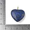Dyed Natural Lapis Lazuli Pendants G-P585-03G-07-6
