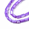 Natural Trochid Shell/Trochus Shell Beads Strands SHEL-N003-26-B02-3
