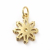 Rack Plating Brass Micro Pave Cubic Zirconia Charms ZIRC-F129-34E-G-2
