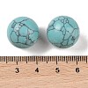 Synthetic Turquoise No Hole Sphere Beads G-K353-04D-12-3