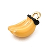 Alloy Enamel Pendants LS-FIND-I044-01F-2