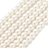 AB Color Plated Shell Pearl Round Beads Strands LS-BSHE-XCP0001-31-1