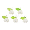 Acrylic with ABS Plastic Imitation Pearl Pendants PALLOY-JF05659-12-1
