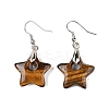 Natutal Tiger Eye Dangle Earrings EJEW-F343-C07-2