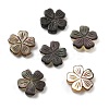 Natural Black Shell Carved Beads SSHEL-Z002-02B-1