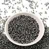 K9 Glass Seed Beads SEED-S042-04B-31-2