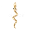 Brass Micro Pave Cubic Zirconia Pendants ZIRC-P121-03B-G-1