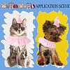 Pet Birthday Supplies Sets DIY-WH20007-287A-4