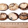 Natural Tree Bark Agate Beads Strands G-Q606-23D-4