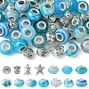 DIY Tibetan Style Alloy & Resin European Beads Making Finding Kits DIY-FS0006-78F-2