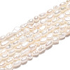 Natural Cultured Freshwater Pearl Beads Strands PEAR-N028-01-2