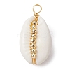 5Pcs Natural Cowrie Shell Copper Wire Wrapped Pendants PALLOY-JF02277-01A-1