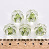 Transparent Acrylic Beads TACR-S154-19A-83-4