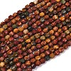Natural Picasso Stone/Polychrome Jasper Beads Strands G-A260-A24-01-5