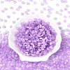 600Pcs Glass Seed Beads SEED-PA0001-17B-4