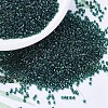 MIYUKI Delica Beads X-SEED-J020-DB0275-1