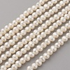 Natural Cultured Freshwater Pearl Beads Strands PEAR-G007-33-01-1