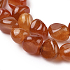 Natural Agate Beads Strands G-L560-M10-2
