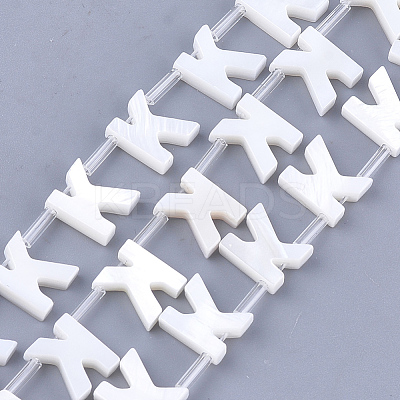 Natural Freshwater Shell Beads SHEL-T012-59K-1